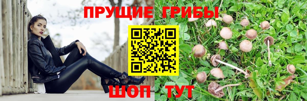 Псилоцибиновые грибы мухоморы Коломна